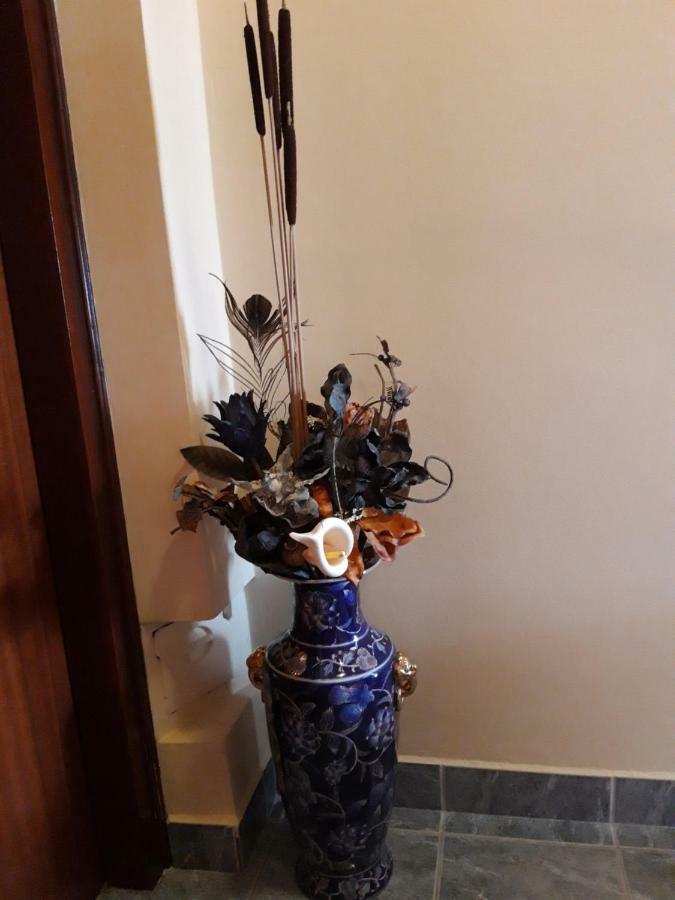 Studio Apartman Centar 奥古林 外观 照片